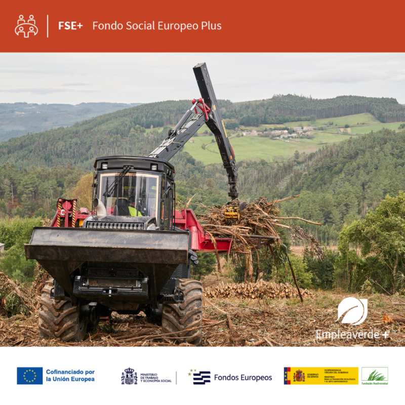emprendeverde's tweet photo. 🚜 #Captabioforest 4.0 de @Greenalia_es ya está en marcha.

Formará a 84 personas en el uso seguro y digitalizado de maquinaria forestal. 

✨ Empleo forestal para revitalizar el rural gallego.

#EmpleaverdePlus #FondosEuropeos #FSEPlus @Fbiodiversidad @EU_Social @FondosUE_Esp
