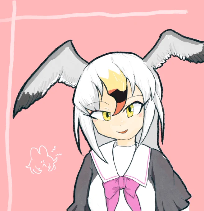 とくになんの変哲もないウミネコ 
