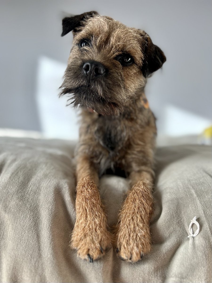 Sarah Champion tweet media