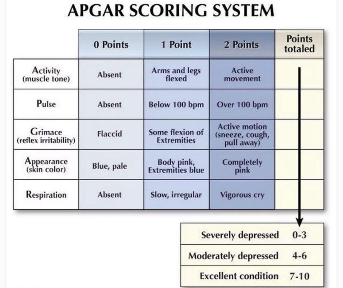 Quomi8's tweet photo. APGAR SCORING SYSTEM
#quomiprofessionals #quomi #medicalstudent #MedicalExam #apgarscore #StudyMedicine #medicalpictures #simplemedicine #makinghealthcaresimple #quomiquickies #medicaleducation
https://t.co/fWwxjUIn3c https://t.co/KZ0eGNHd8D
