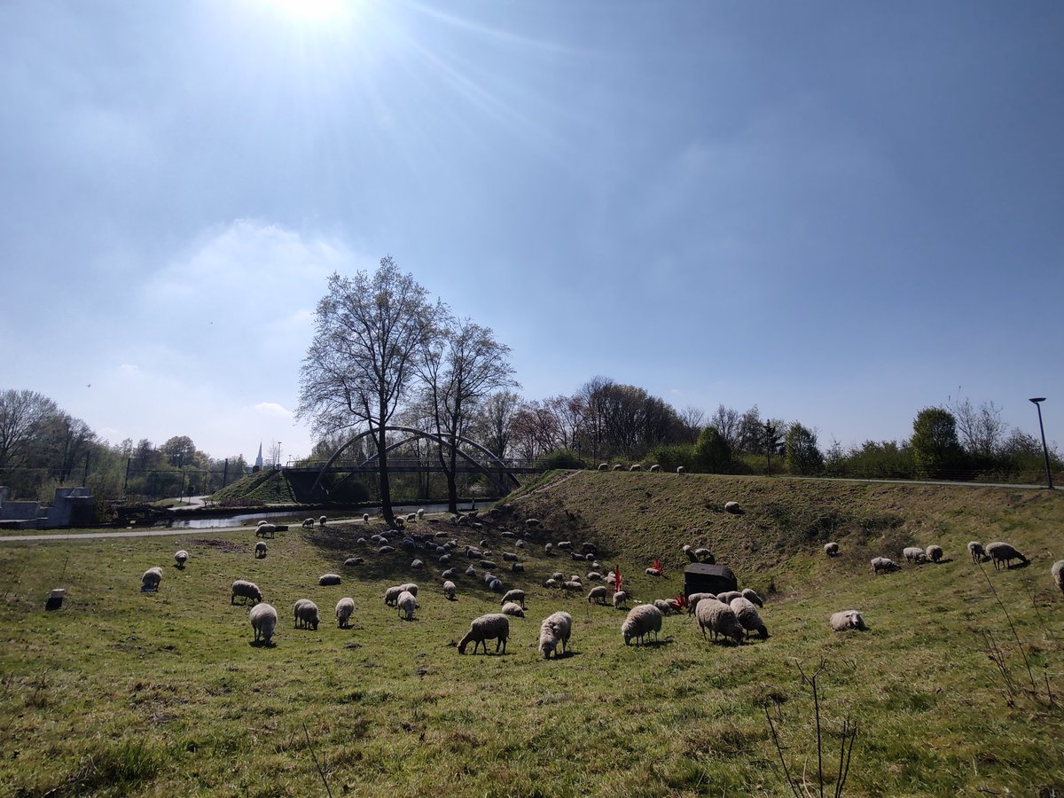 marckske40's tweet photo. #vrtweer Turnhout https://t.co/xKse2uvqv4