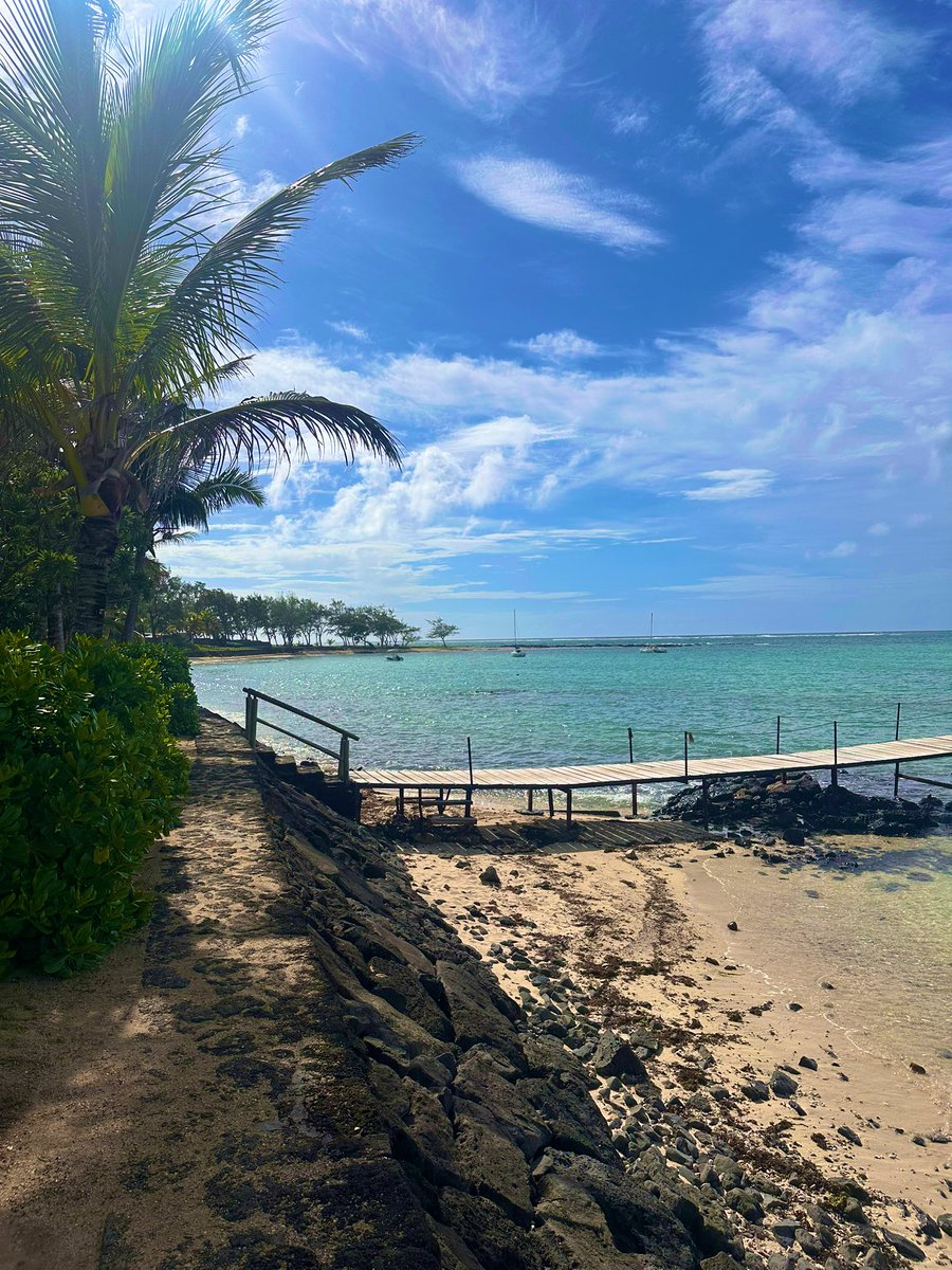 Sarah Cooper tweet media