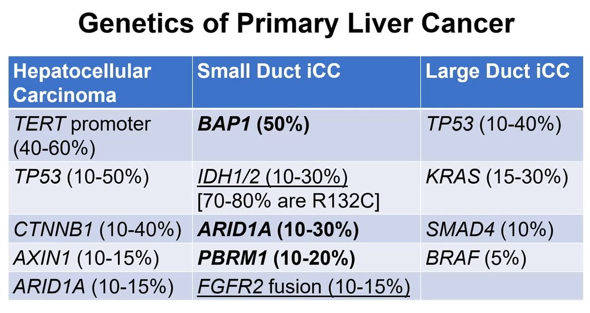Genetics of Primary Liver Cancer

Dr. Bellizzi #USCAP25 #pathology #PathX