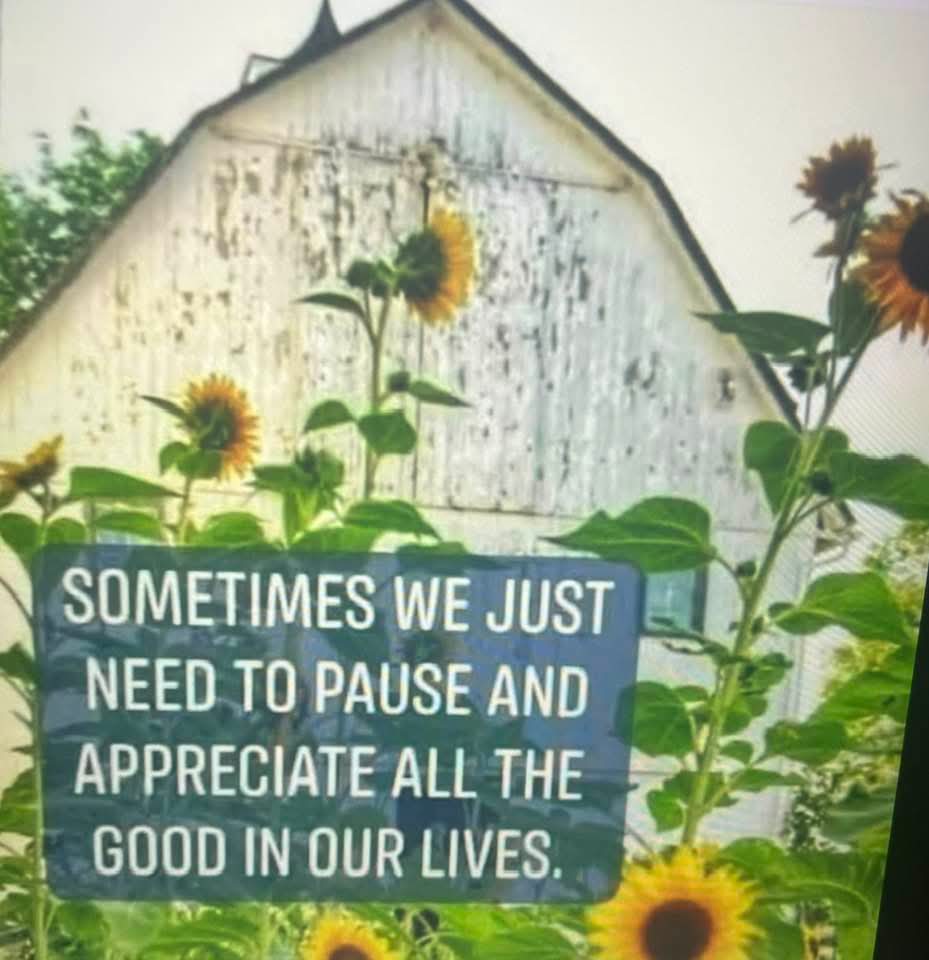 TSbySandy's tweet photo. What are you grateful for? #positivitymovement https://t.co/TYrb14iAXw