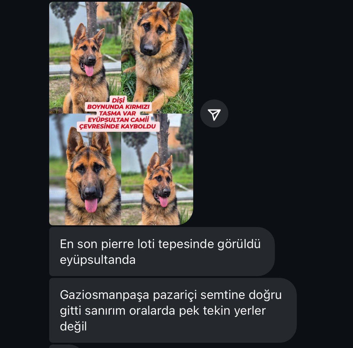 Arkadaşlar, acil ‼️