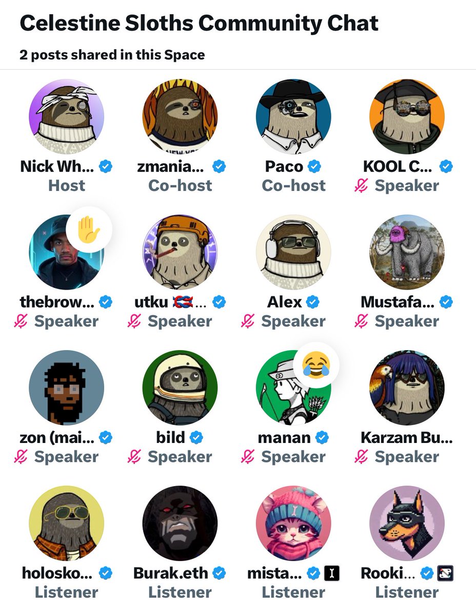 koolcryptovc's tweet photo. Which NFT community has multiple founders come together and address issues. 

❤️ 🦥 @CelestineSloths https://t.co/LJJjnjlDw9