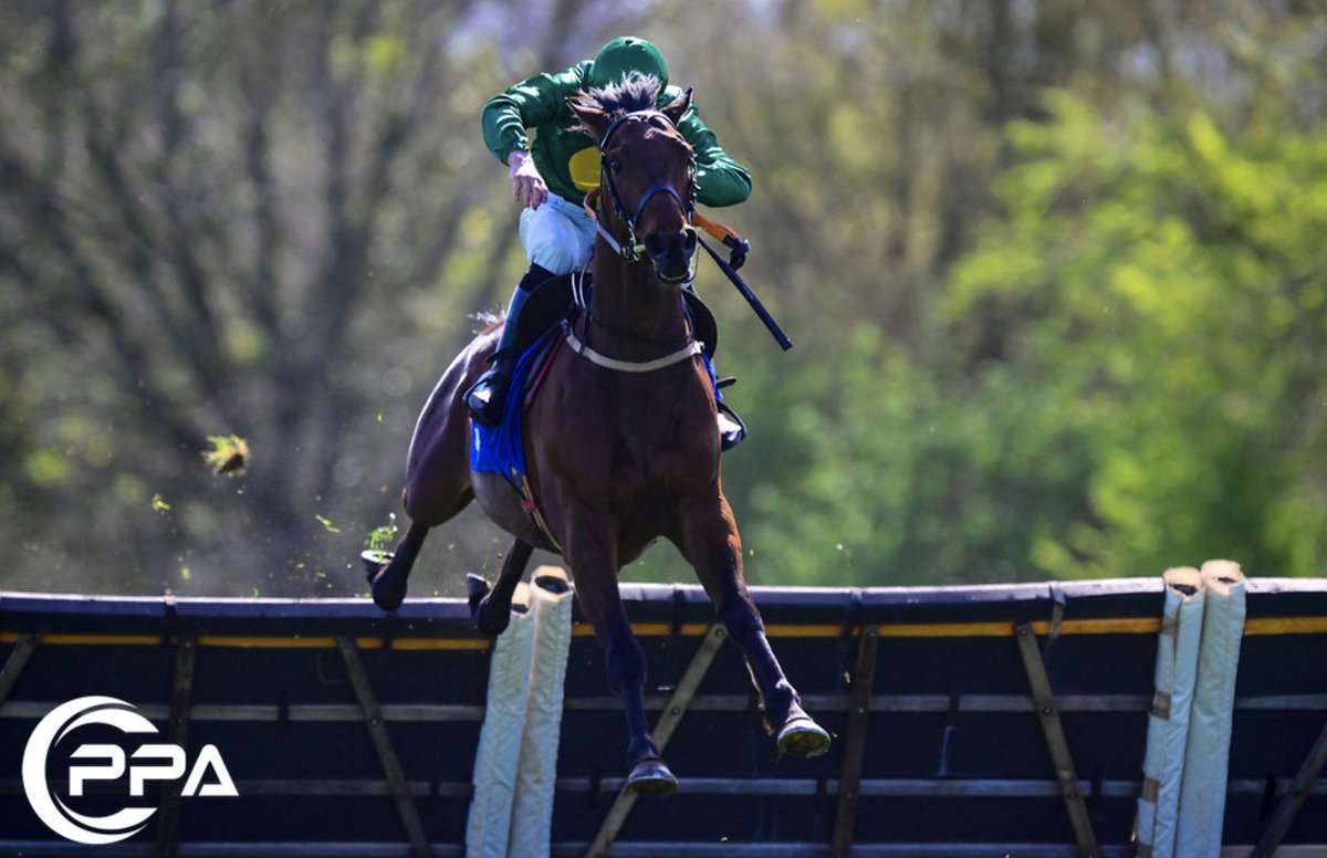 PPA Sports Content tweet media