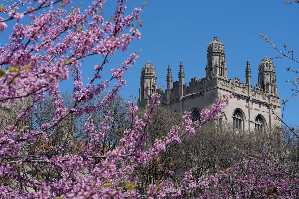 UChicago Arts & Humanities (@uchicagoahd) on Twitter photo President and provost of <a href="/UChicago/">The University of Chicago</a> announced the renaming of our division to the Division of the Arts & Humanities. This is an exciting new chapter in the history of the University. Read the announcement here: bit.ly/42h2EIh Learn more at artshumanities.uchicago.edu President and provost of <a href="/UChicago/">The University of Chicago</a> announced the renaming of our division to the Division of the Arts & Humanities. This is an exciting new chapter in the history of the University. Read the announcement here: bit.ly/42h2EIh Learn more at artshumanities.uchicago.edu