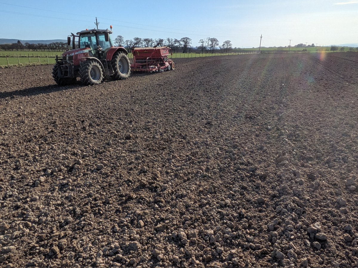 DONALD ROSS tweet media