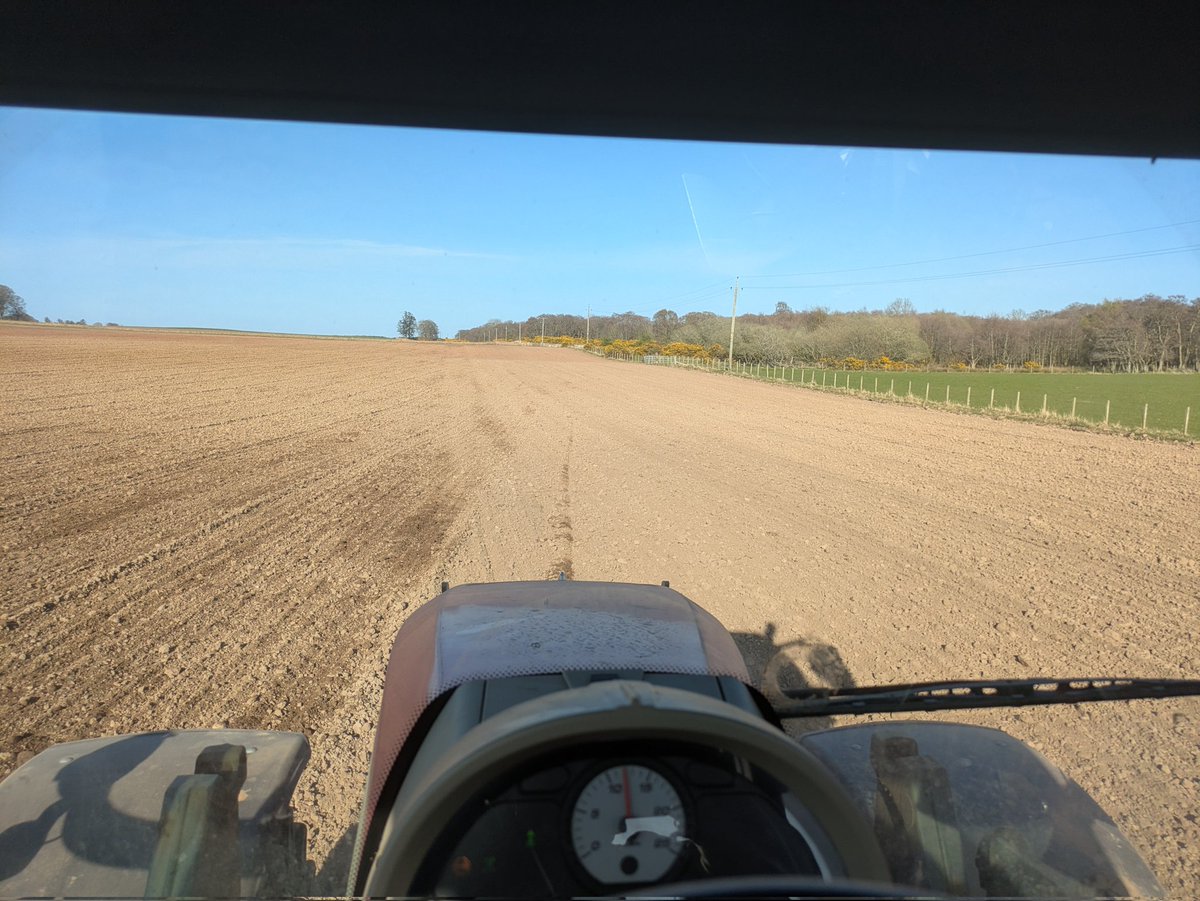 DONALD ROSS tweet media