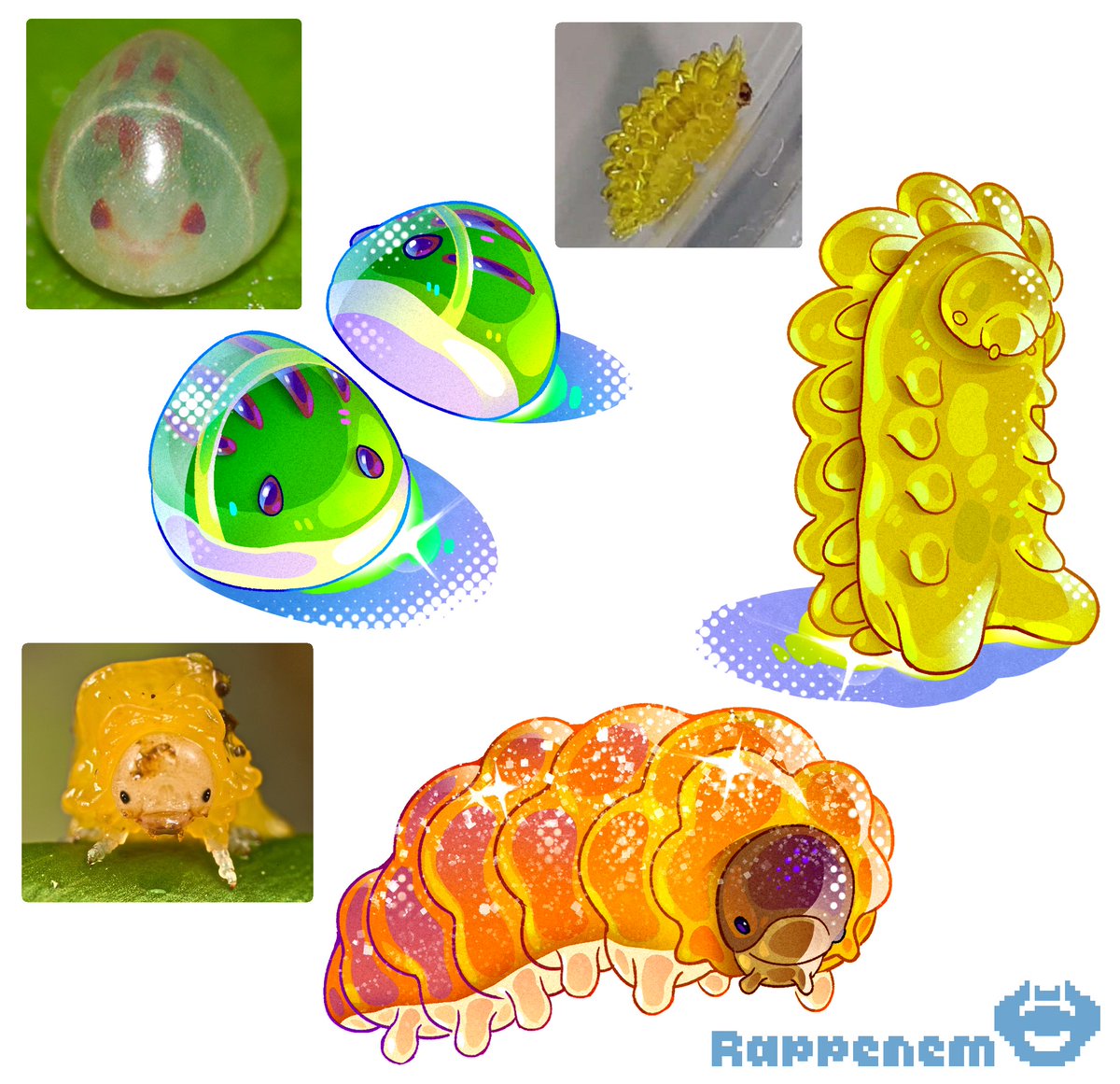 Rappenem's tweet photo. Bug gummies? https://t.co/3kQPcrQzWW