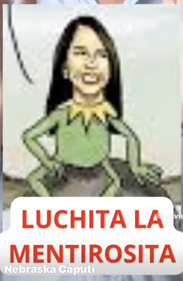 Luisa eres una mujer desagradable quiere destruir al país !!!! Lárgate a Venezuela!!!☠️☠️☠️no me representa 
Miserable
<a href="/LuisaGonzalezEc/">Luisa González</a> 
<a href="/MashiRafael/">Rafael Correa</a> 
<a href="/DiegoBorjaPC/">Diego Borja Cornejo</a> 
<a href="/ecuarauz/">Andrés Arauz</a>