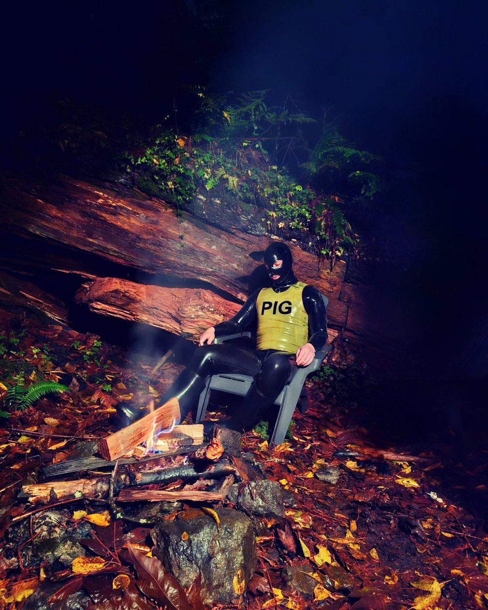 Rubber pig in the woods camping