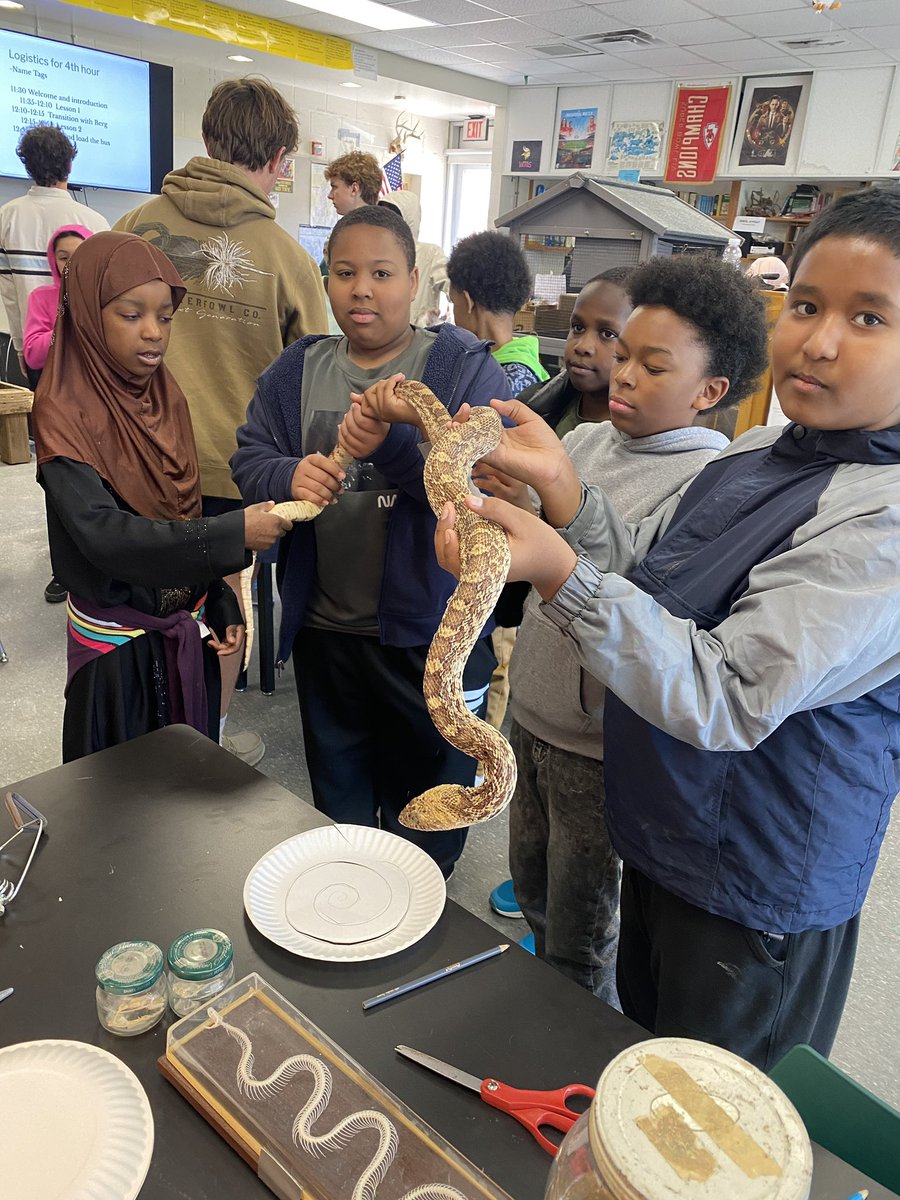 5th grade students got to explore the Environmental Science Lab at Shawnee Mission High School. They were able to work one-on-one with high school students to learn more about native animals and habitats in Missouri. Some students were even brave enough to hold the animals!