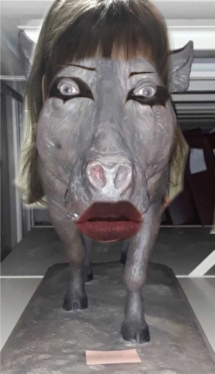 bimmozn's tweet image. 