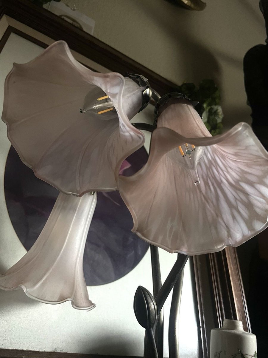 gal౨ৎ tweet media