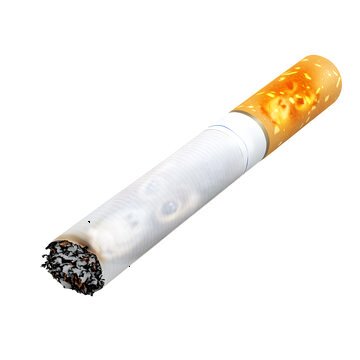 primateluvr (@primateluvr) on Twitter photo 