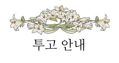 비스킷미디어 tweet media