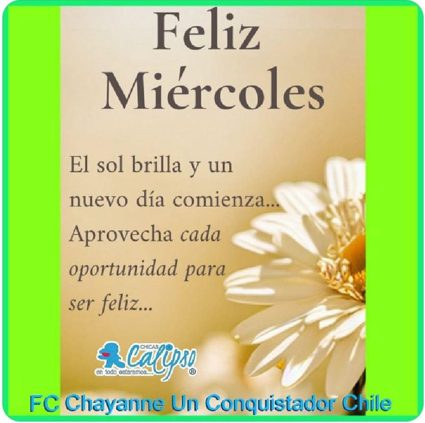KSelyna's tweet photo. Gracias @PrimaveraRadio por deleitarnos con tan buen tema #BailandoBachata de nuestro querido @CHAYANNEMUSIC  saludos #Janazoo  desde #LosAndes #Chile 🇨🇱🇨🇱🇨🇱🇨🇱 @CHICASDECALIPSO 💙💙😘😘
#UnRiñonParaElias https://t.co/Vg9rkqIPjF