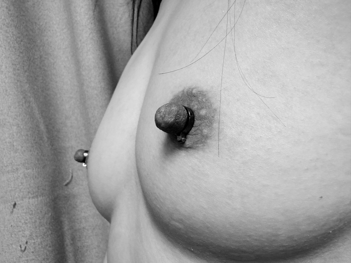 BDSM训犬师 tweet media