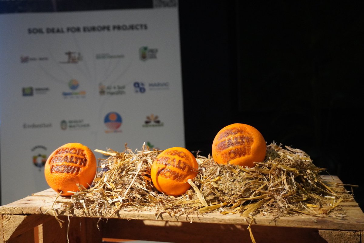 🟠Day 2 Wrap-Up from the #SoilHealthNow! Conference: A Deep Dive into Europe's Innovation Paradox 🌍💡

🌾During yesterday’s panel on The Soil Data Revolution: How Earth Observation, Spectroscopy, and AI are Changing Soil Use Forever, experts showcased how cutting-edge