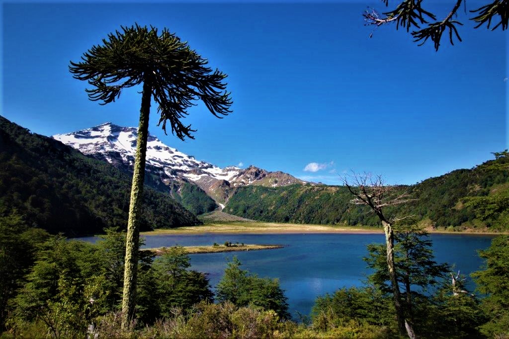 Ok, jetzt wissen alle was auf sie zukommt.wollen Sie jetzt sicher, wo anders, neu aufbauen? Wir haben ein besonderes  Programm:Invest in Ch, leben In Chile. www.fundolagunablanca,com