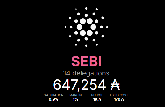 ⚡️Giveaway⚡️

To celebrate 600k ADA staked to SEBI stakepool I am giving away 100 ADA to one lucky winner!
I can't believe we have hit such a milestone!🤯

⏰48hrs to participate:
✅Like&amp;RT
✅Follow @Av_Sebastian 
✅Comment "stake your $ADA with SEBI"