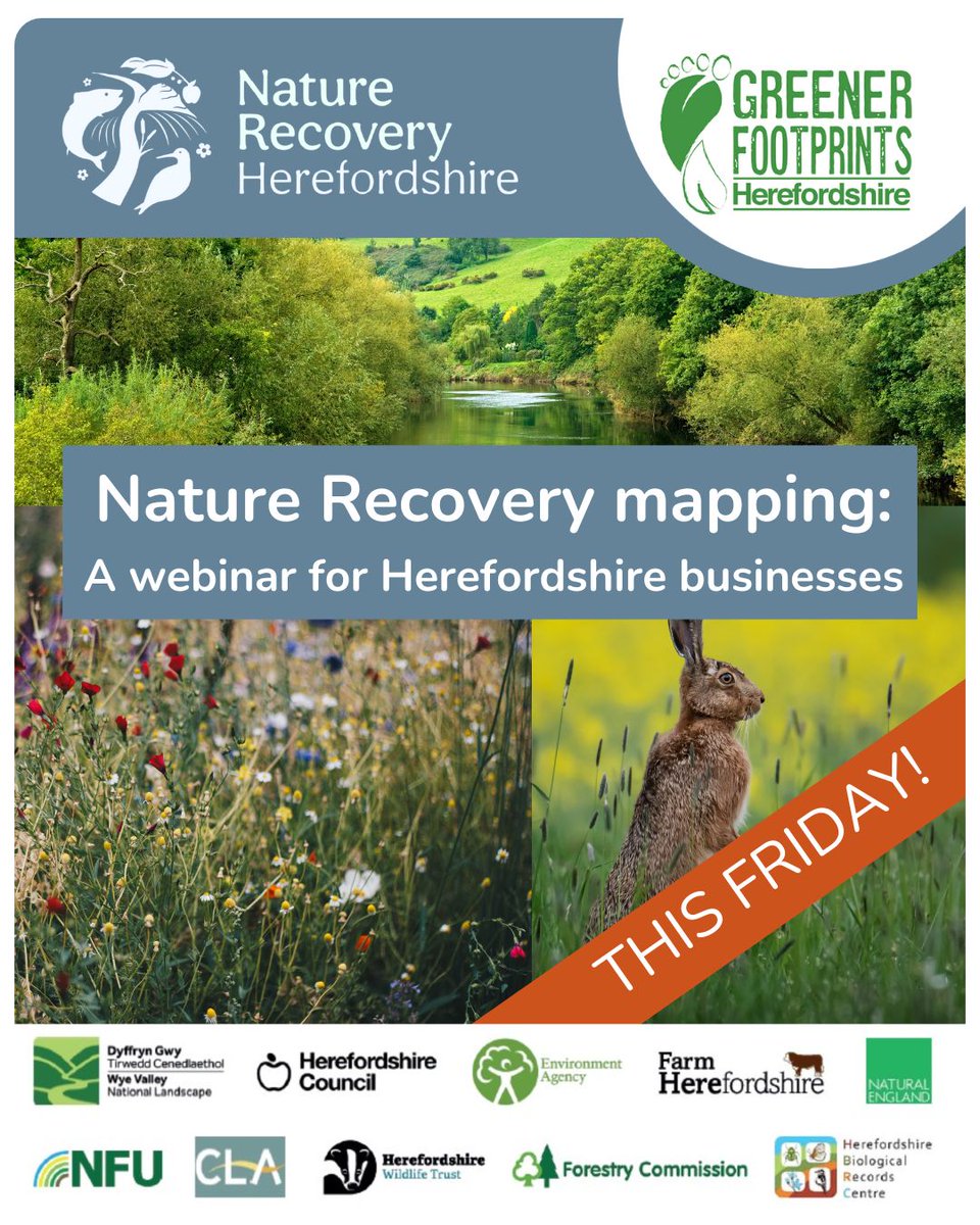 Can you help shape the future for nature in Herefordshire? 🌱 

As part of the Local Nature Recovery Strategy, Herefordshire Council published a draft map to identify where nature recovery could be most impactful.

Join us to share your local knowledge: orlo.uk/qvJQw