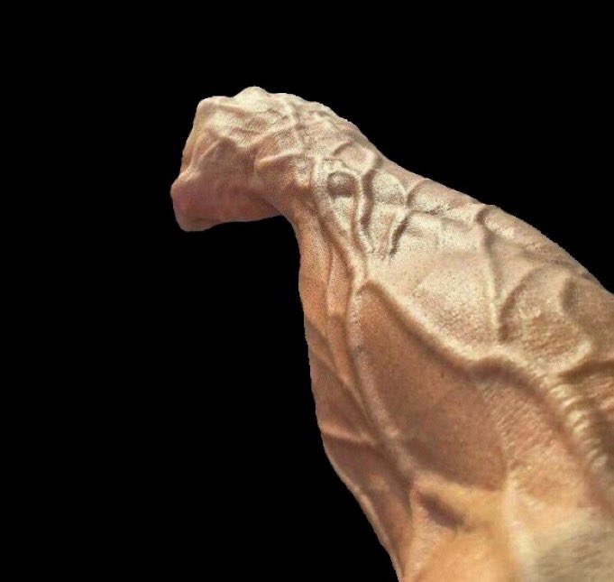 Kram618's tweet photo. @GenshinImpact Arm strength. https://t.co/J1g5rvrcSM
