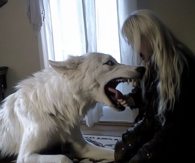 Daenerys and her dire wolf Khaleesi