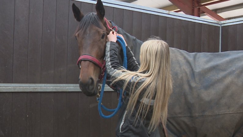 Callum Clark tweet media