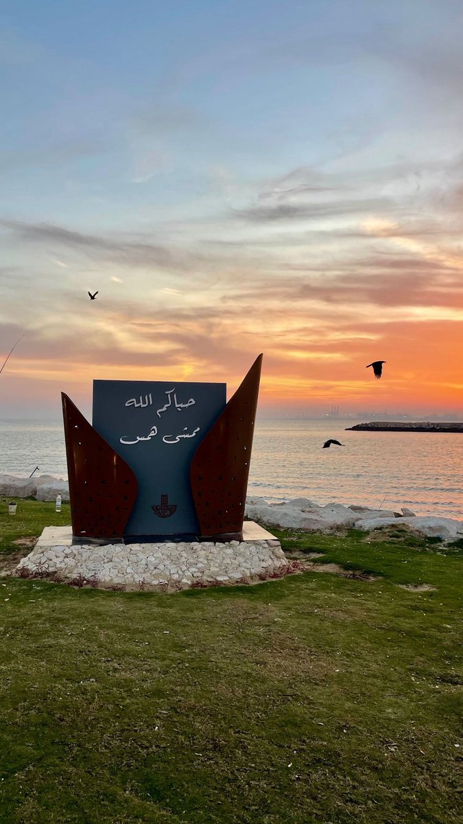 z36aa's tweet photo. يارب الامنيات قربها، هونها، يسَّرها، باركها، وآنسنا بها.💛 https://t.co/kgkmawA5Nc