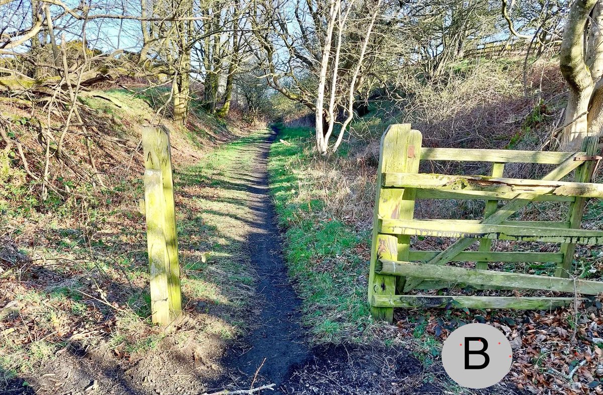 BorderlineGWay's tweet photo. Borderline Greenway : 
 Phase 1 - from A to B.
A) Greensfield
What3Words :
///squeaking.golden.published
 <to>
B) Halfcrown Well.
The limit of our Leased land and boundary with Freemen land.
What3Words :
///earphones.edgy.power

Total Distance:
2870m / almost 2mile linear trail. https://t.co/6hf1nSY1zE