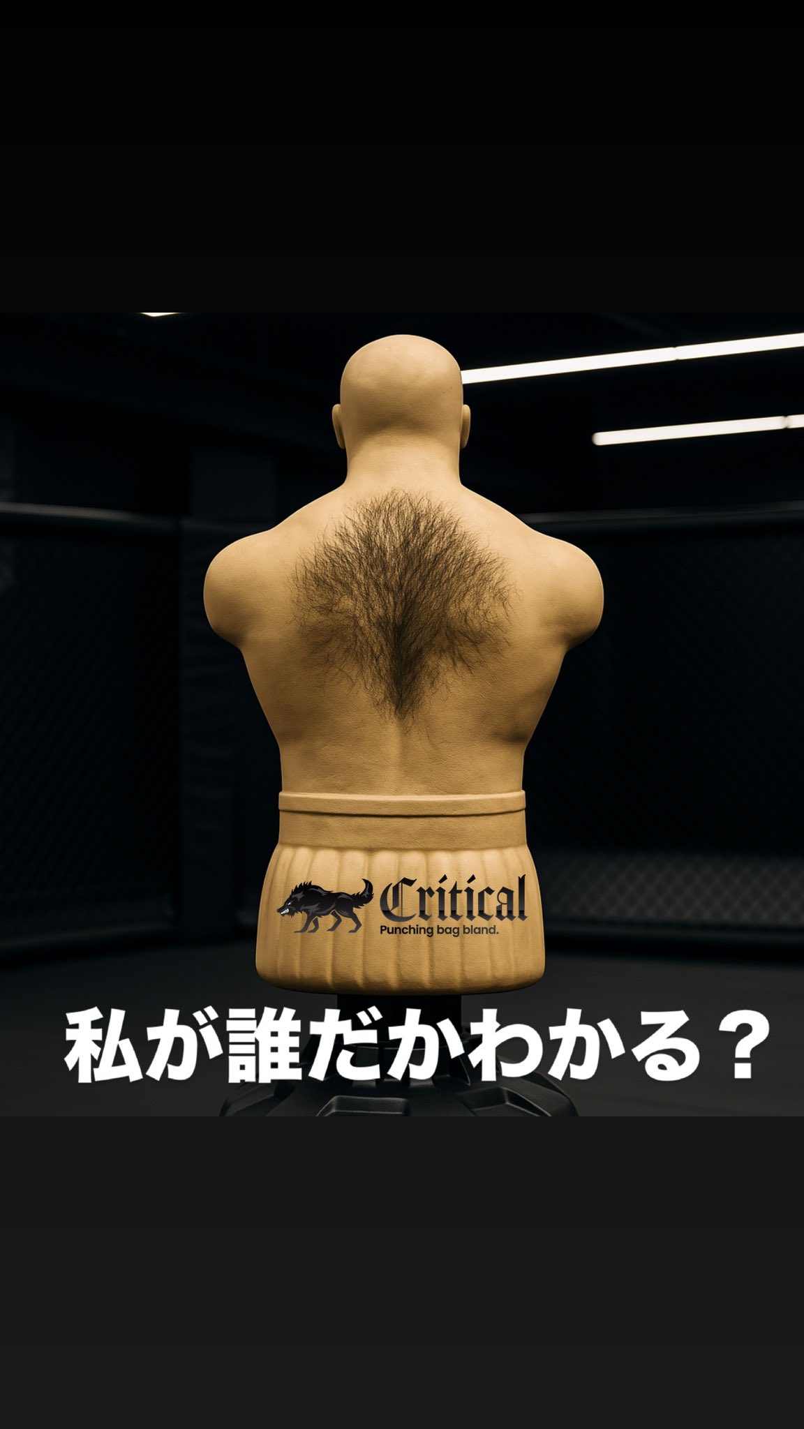公式】Critical 人型サンドバッグ (@critical_offi) / X 公式】Critical 人型サンドバッグ (@critical_offi) / X