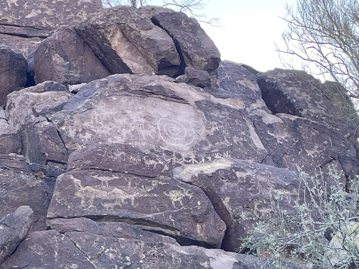 Landon K tweet media