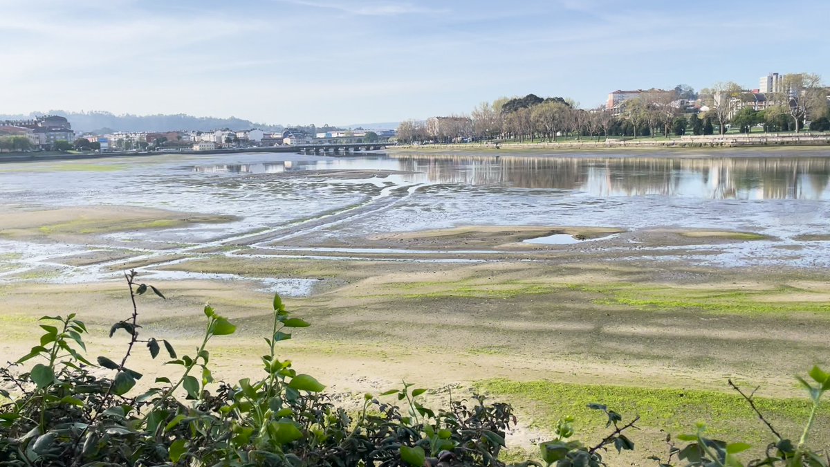 mitecogob's tweet photo. 🔵 Regeneración de la Ría de O Burgo, Coruña
Una de las actuaciones con mayor relevancia ambiental realizadas con éxito en el ámbito costero 🌊
💧 Dragado de +662.488 m³ en la ría
💧 Inversión de 41,5 millones €
💧 Trabajos desde noviembre de 2021 hasta abril de 2024 https://t.co/yjWKx8irXH