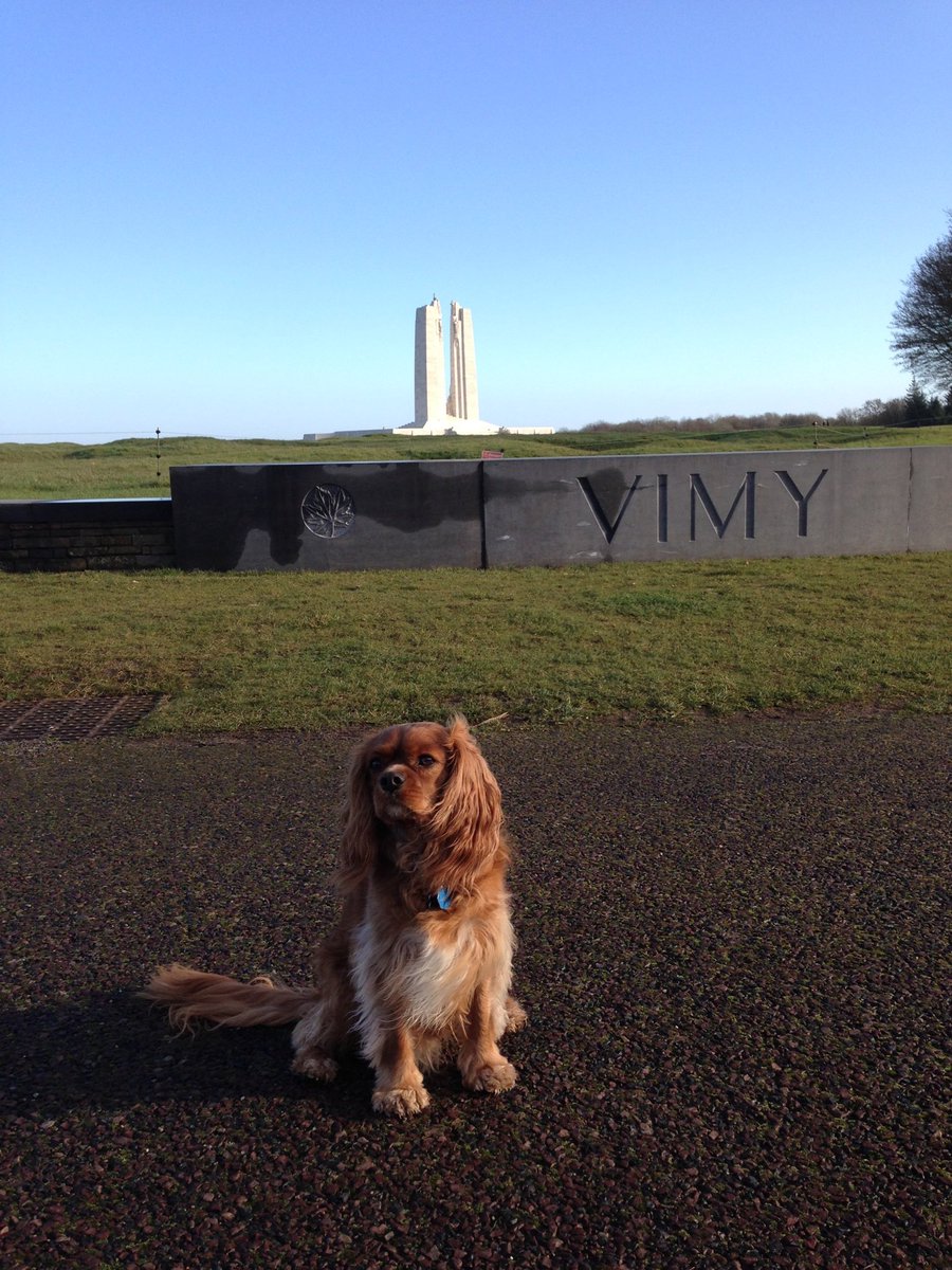This little dog came to pay his respects. He is probably one of the few Canadian dogs to visit Vimy Ridge. He was born near Guelph, ON and grew up in Toronto before coming to Europe. His name is Frodo. A true Canadian doggy.