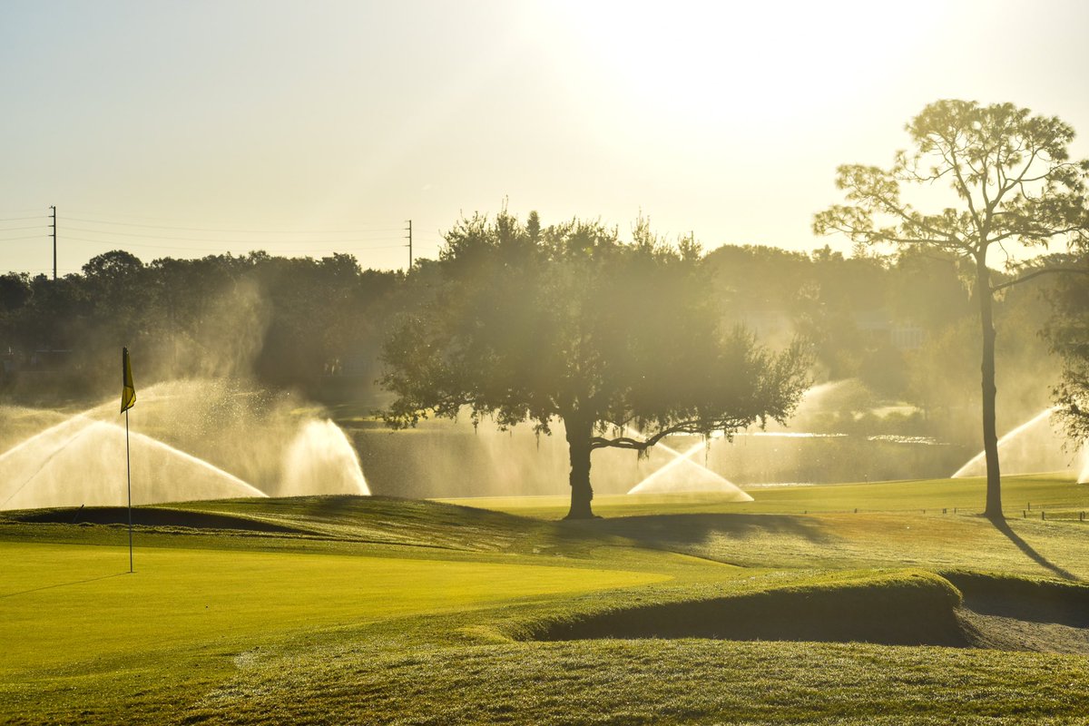 APBayHill's tweet image. A par-3 showcase in honor of today’s contest.
Which is your favorite at Arnie’s Place?
#BayHill