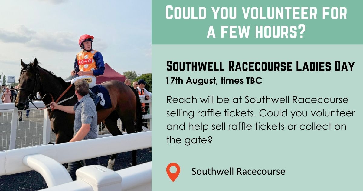 Reach Learning Disability tweet media