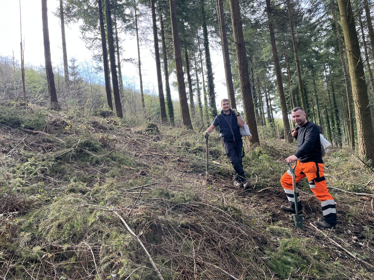 The Forestry Team has been busy at Bovey Down. 🌲

After thinning the overstory Douglas Fir, we’ve started “enrichment planting” which adds variety to woodland, helping to improve its species and structural diversity.