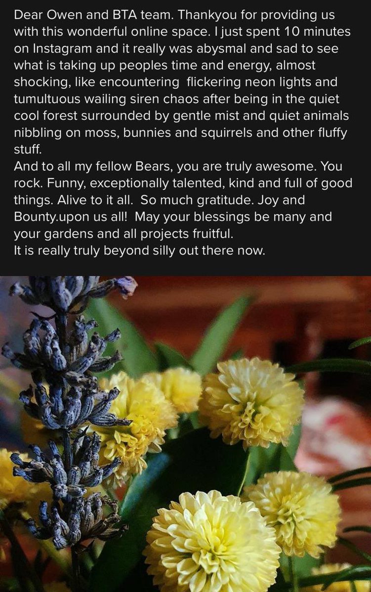 Owen Benjamin 🐻 tweet media