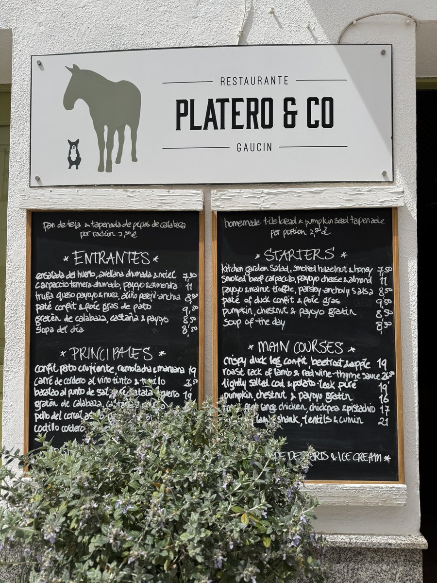 AndersBerlin's tweet photo. Today I went to Gaucín, Spain: Its a village with 1600 people up in the mountains. What’s interesting about it is that it has a guide Michelin resturant that’s affordable. Starters is 7-11 euros and main course 19-26 euros. https://t.co/telD8aZWpB