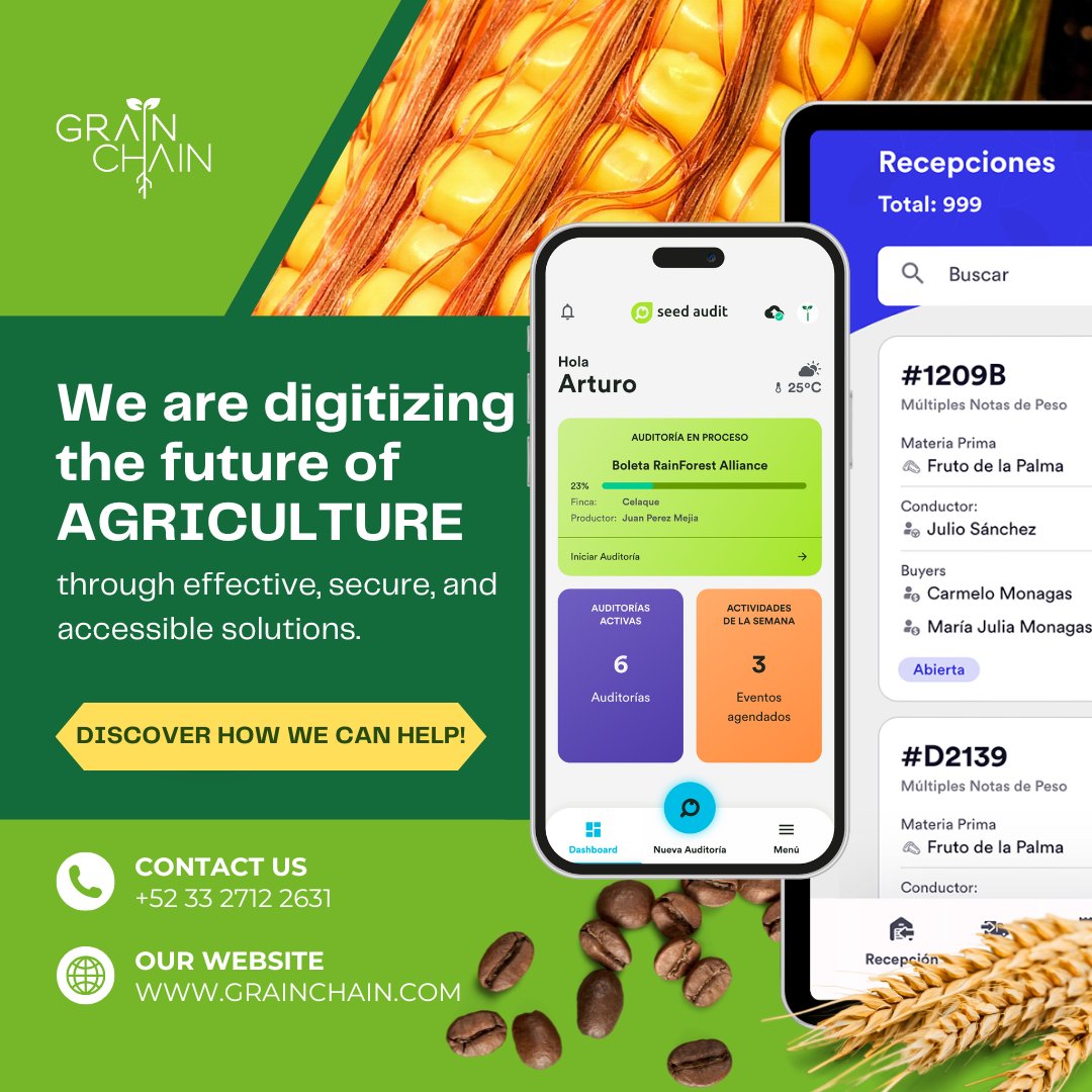 GrainChain tweet media