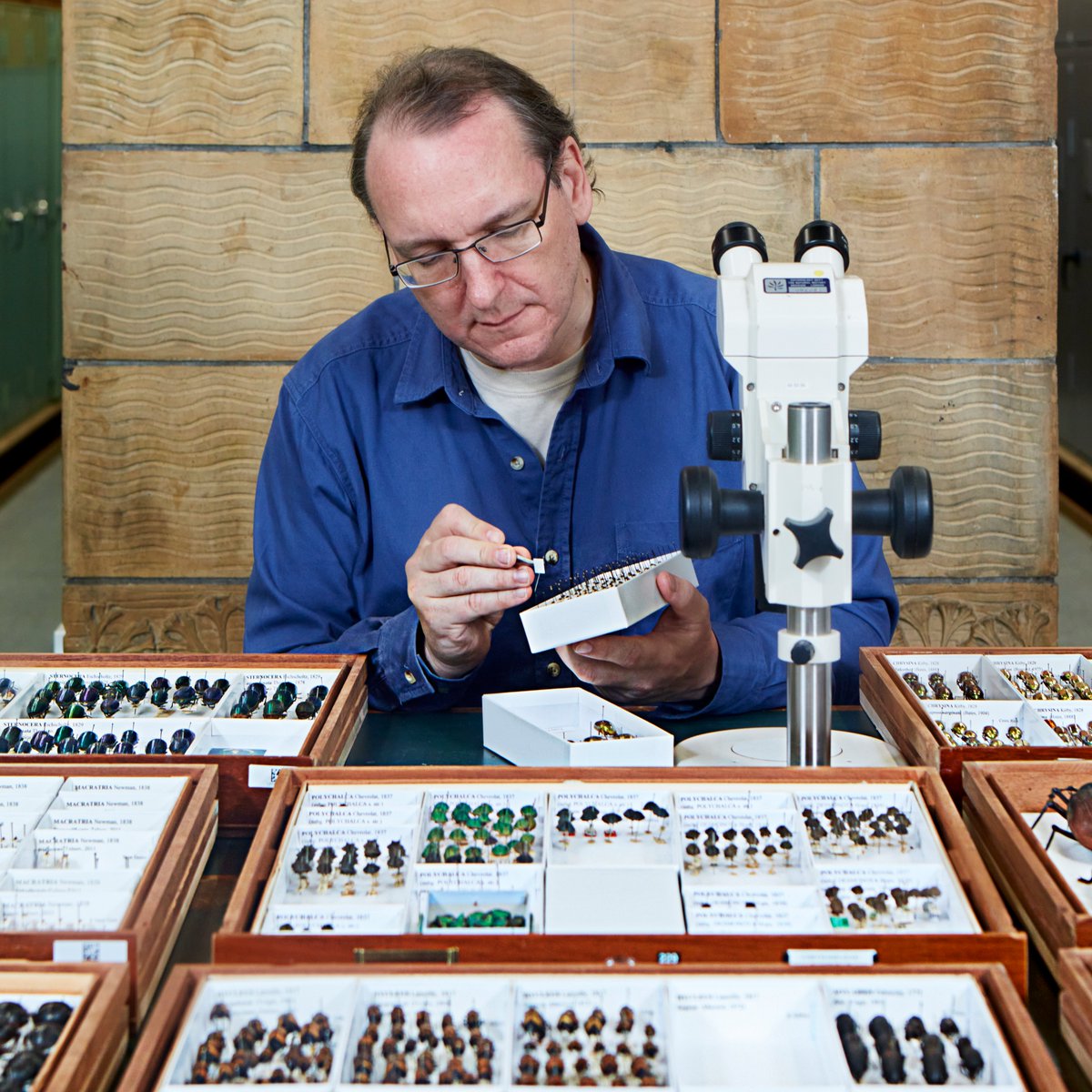 Science at the Natural History Museum (@nhm_science) on Twitter photo World Microscope Day was started by
<a href="/QuekettMicro/">Quekett Microscopy</a> to highlight discoveries made through microscopy. Find out more about the Museums microscopy facilities here: nhm.ac.uk/our-science/se… and discover more about Quekett club at quekett.org World Microscope Day was started by
<a href="/QuekettMicro/">Quekett Microscopy</a> to highlight discoveries made through microscopy. Find out more about the Museums microscopy facilities here: nhm.ac.uk/our-science/se… and discover more about Quekett club at quekett.org