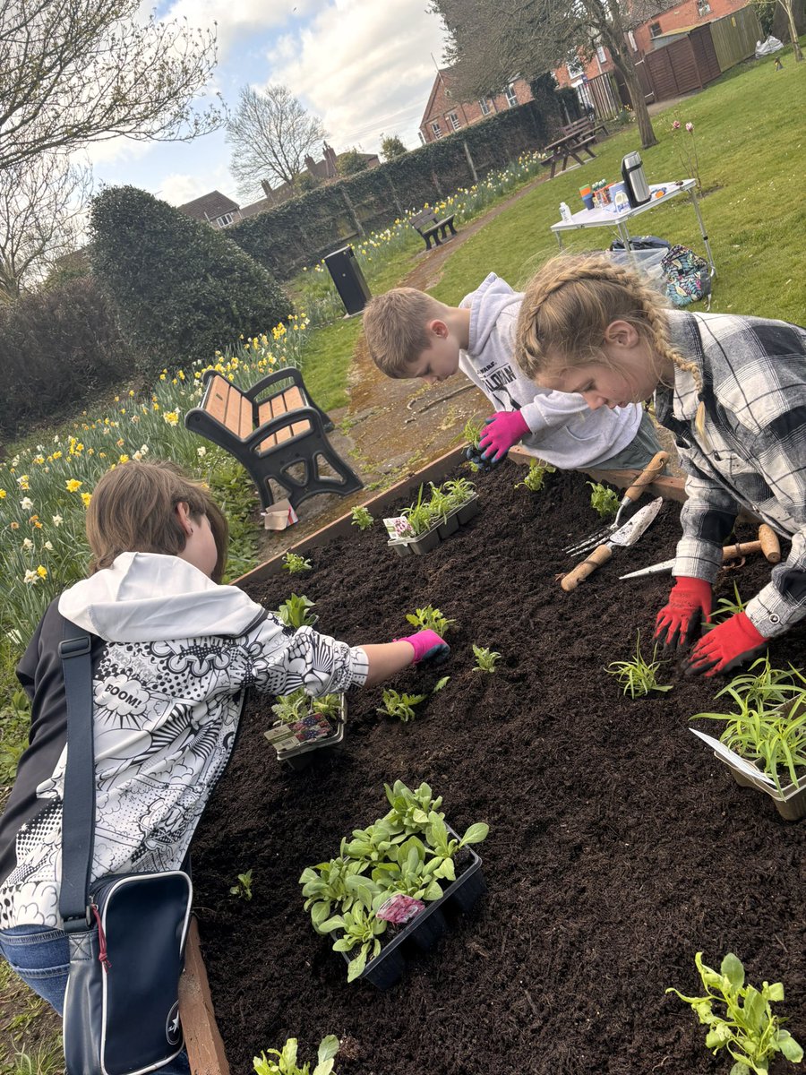 MichelleDenove1's tweet photo. Another lovely morning planting up Hamerton Gardens this time #horncastleinbloom https://t.co/EbSeNvPiri