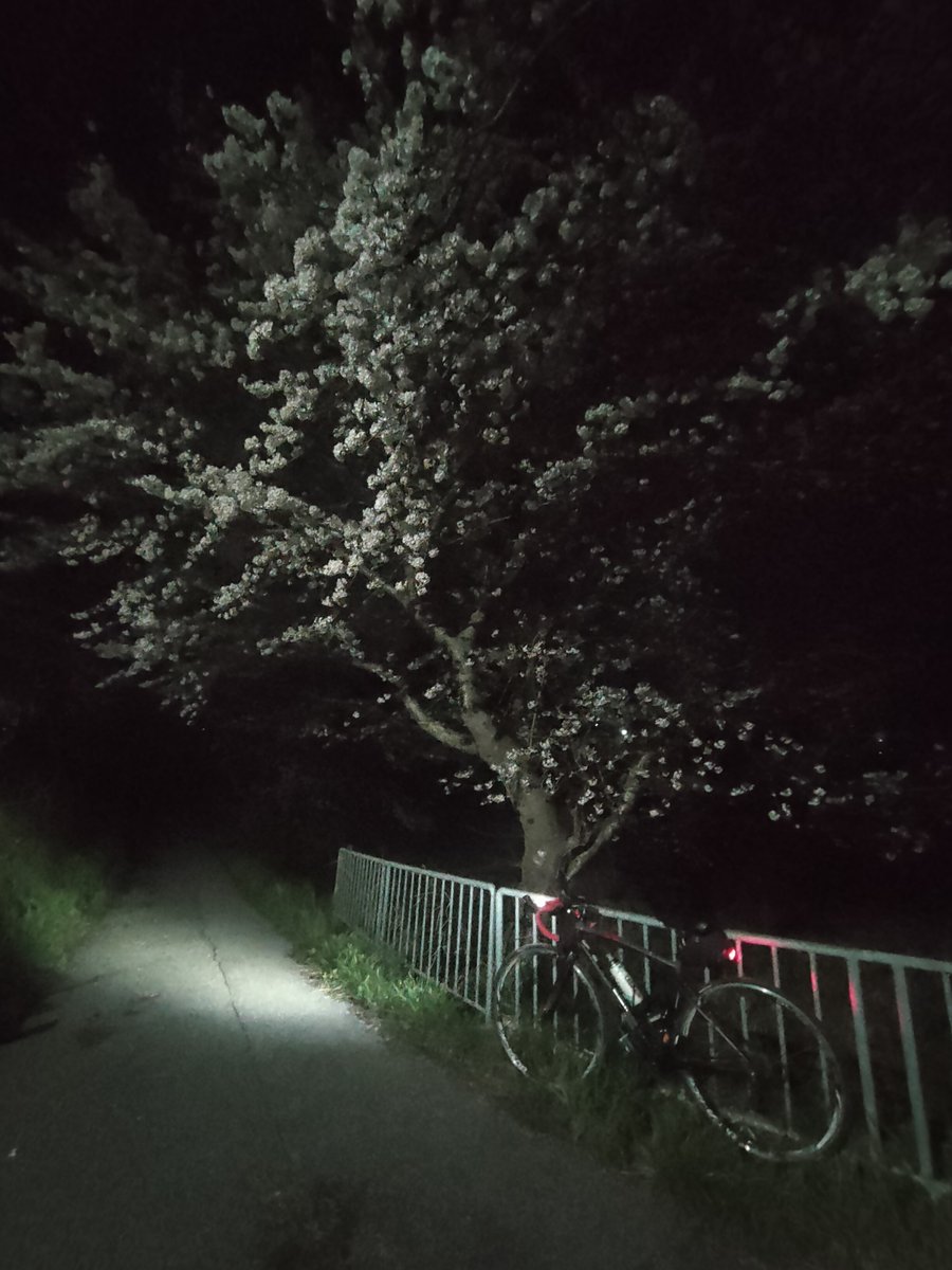 jon_num_4's tweet photo. 夜の #サイクリング なう

コロナ以後モチベーションガタ落ちだったけど(^_^;) https://t.co/a2DpON97nJ