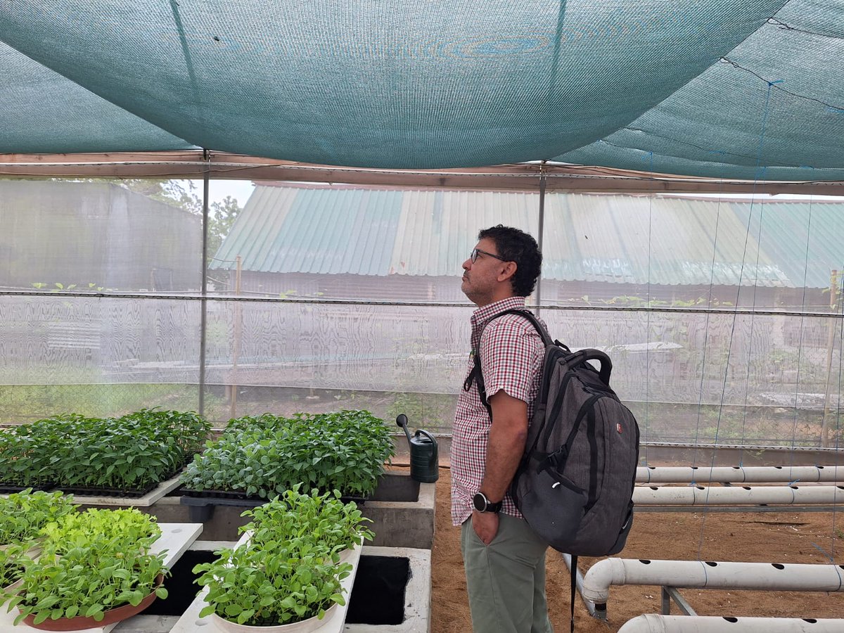 FAOCaribbean's tweet photo. FAO team on the ground in Suriname! 🇸🇷 — visiting Philipusdorp, working with local farmers to improve shadehouse production by introducing digital sensors 🌿📲. Training to follow later this week in the #IPM Inception Workshop! #ClimateSmartAg #FAOinAction https://t.co/n5AC3sUeBF