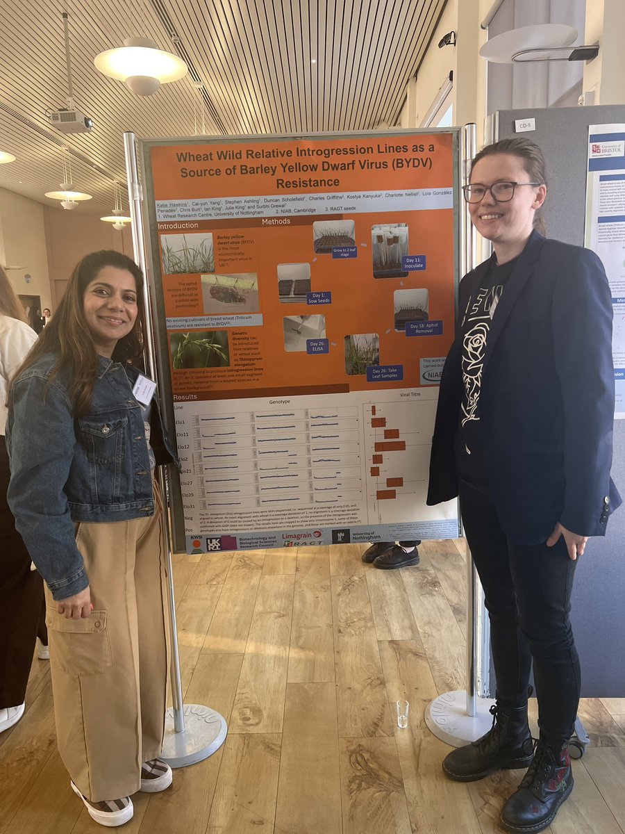 Surbhi Grewal (@surbhig6) on Twitter photo Poster session: my PhD student Katie Hawkins from <a href="/UoNBiosciences/">UoNBiosciences</a> <a href="/nottm_bbsrc_dtp/">Nottingham BBSRC DTP</a> presenting her work on screening for BYDV resistance in wheat wild relative lines <a href="/Notts_WRC/">Wheat_ResearchCentre</a> with <a href="/KanyukaKostya/">Kostya Kanyuka</a> <a href="/niabgroup/">Niab</a>
#Monogram25 Poster session: my PhD student Katie Hawkins from <a href="/UoNBiosciences/">UoNBiosciences</a> <a href="/nottm_bbsrc_dtp/">Nottingham BBSRC DTP</a> presenting her work on screening for BYDV resistance in wheat wild relative lines <a href="/Notts_WRC/">Wheat_ResearchCentre</a> with <a href="/KanyukaKostya/">Kostya Kanyuka</a> <a href="/niabgroup/">Niab</a>
#Monogram25