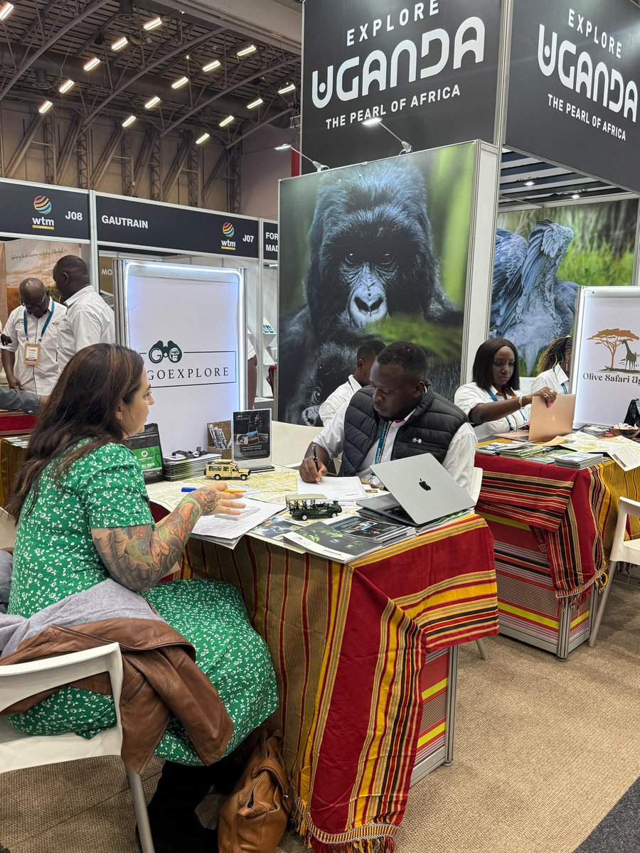 GoExplore Safaris - DMC tweet media