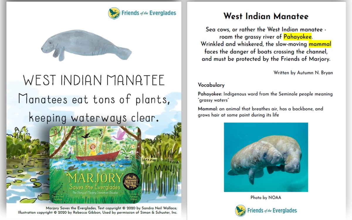 Honored that MARJORY SAVES THE EVERGLADES is endorsed by FRIENDS OF THE EVERGLADES; the nonprofit Marjory began to help protect the Everglades. FOE made these amazing poetry cards inspired by our book--perfect for #PoetryMonth &amp; #EarthMonth! #nature #kidlit #Science #poetry👒🦩